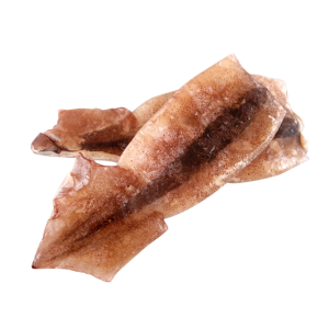 Squid PNG-47201